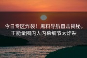 今日专区炸裂！黑料导航直击揭秘，正能量圈内人内幕细节太炸裂