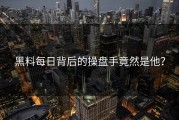 黑料每日背后的操盘手竟然是他？