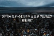 黑料网黑料不打烊今日更新内容居然被秒删？