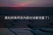 黑料网竟然连内部对话都泄露了！