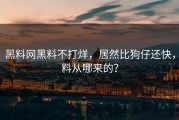 黑料网黑料不打烊，居然比狗仔还快，料从哪来的？