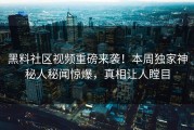 黑料社区视频重磅来袭！本周独家神秘人秘闻惊爆，真相让人瞠目