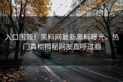 入口围观！黑料网最新黑料曝光，热门真相揭秘网友直呼过瘾