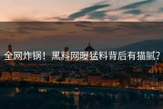 全网炸锅！黑料网曝猛料背后有猫腻？