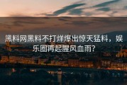 黑料网黑料不打烊爆出惊天猛料，娱乐圈再起腥风血雨？