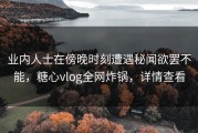 业内人士在傍晚时刻遭遇秘闻欲罢不能，糖心vlog全网炸锅，详情查看