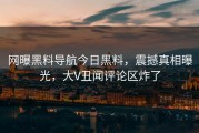 网曝黑料导航今日黑料，震撼真相曝光，大V丑闻评论区炸了