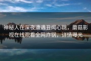 神秘人在深夜遭遇丑闻心跳，蘑菇影视在线观看全网炸锅，详情曝光