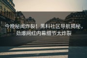 今晚秘闻炸裂！黑料社区导航揭秘，劲爆网红内幕细节太炸裂
