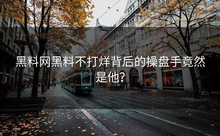 黑料网黑料不打烊背后的操盘手竟然是他？