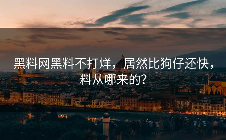 黑料网黑料不打烊，居然比狗仔还快，料从哪来的？