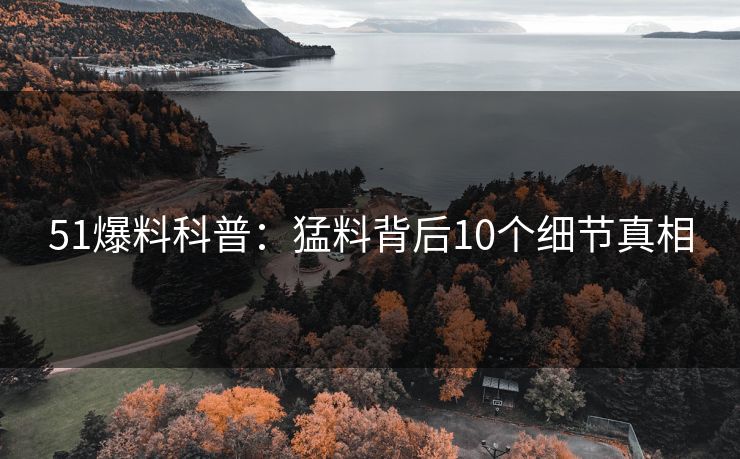 51爆料科普：猛料背后10个细节真相