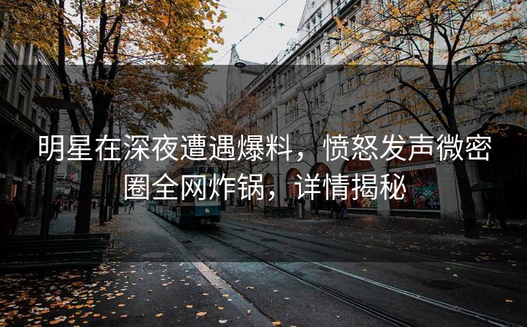 明星在深夜遭遇爆料，愤怒发声微密圈全网炸锅，详情揭秘