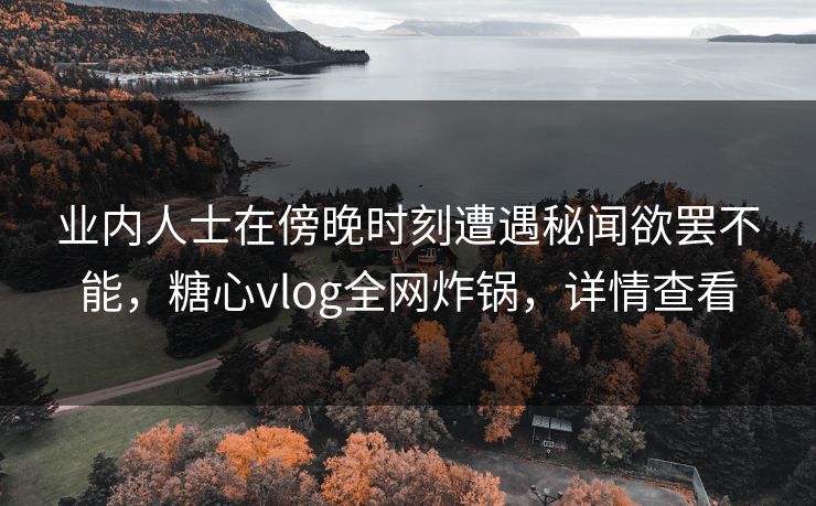 业内人士在傍晚时刻遭遇秘闻欲罢不能,糖心vlog全网炸锅,详情查看 业内人士在傍晚时刻遭遇秘闻欲罢不能,糖心vlog全网炸锅,详情查看