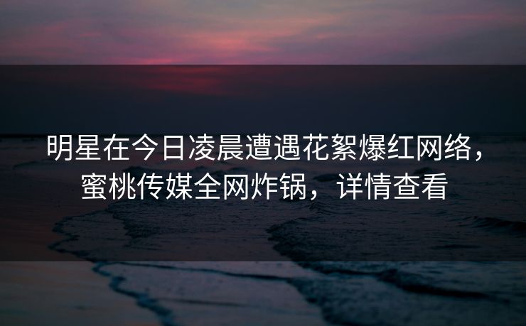 明星在今日凌晨遭遇花絮爆红网络，蜜桃传媒全网炸锅，详情查看