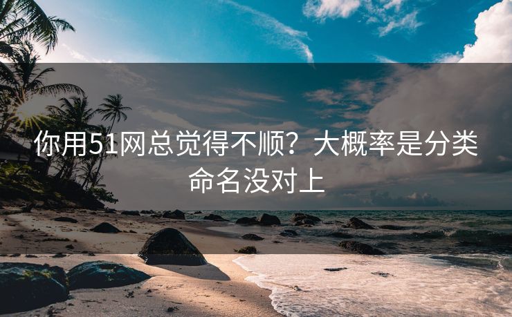 你用51网总觉得不顺?大概率是分类命名没对上 你用51网总觉得不顺?大概率是分类命名没对上