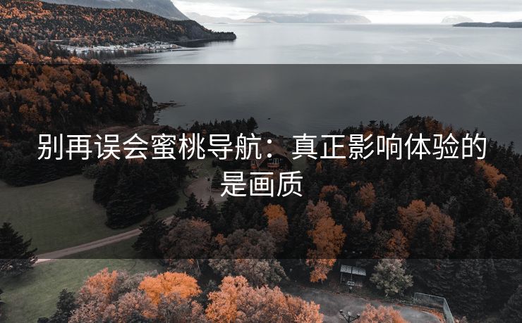 别再误会蜜桃导航:真正影响体验的是画质 别再误会蜜桃导航:真正影响体验的是画质